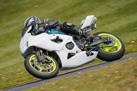 Lower Group White Bikes